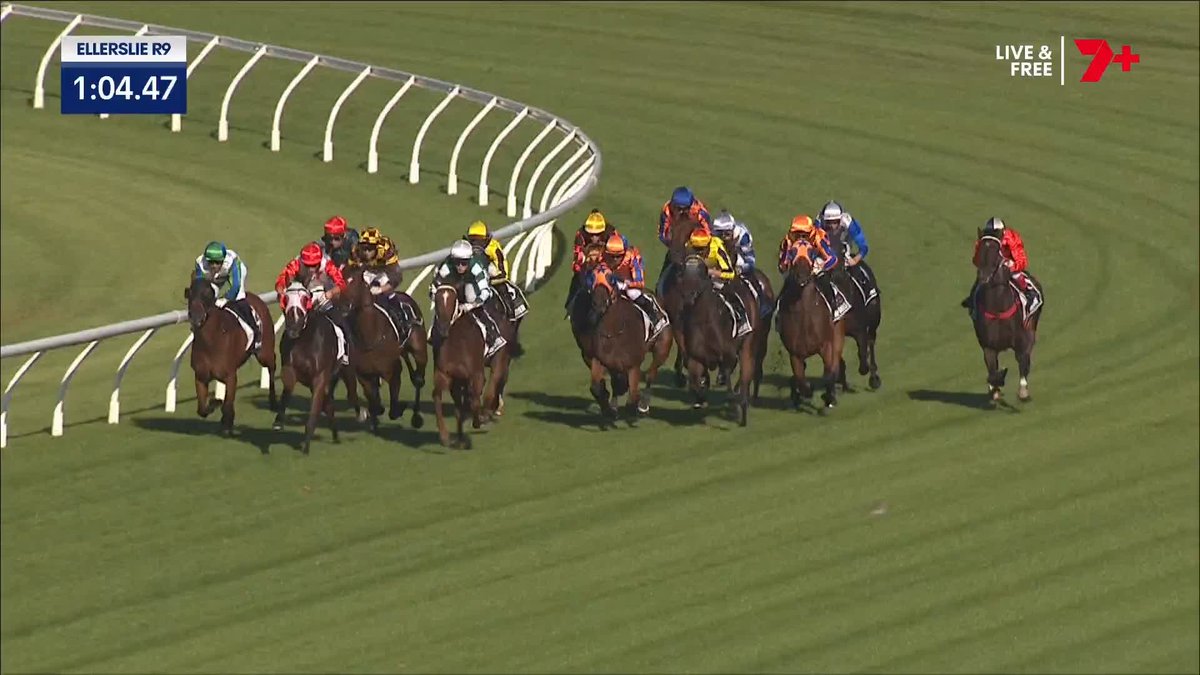 HOW HAS SHE HELD ON 🤯 Well Written remains unbeaten! Can we get a welfare report on those who took $1.20😅
