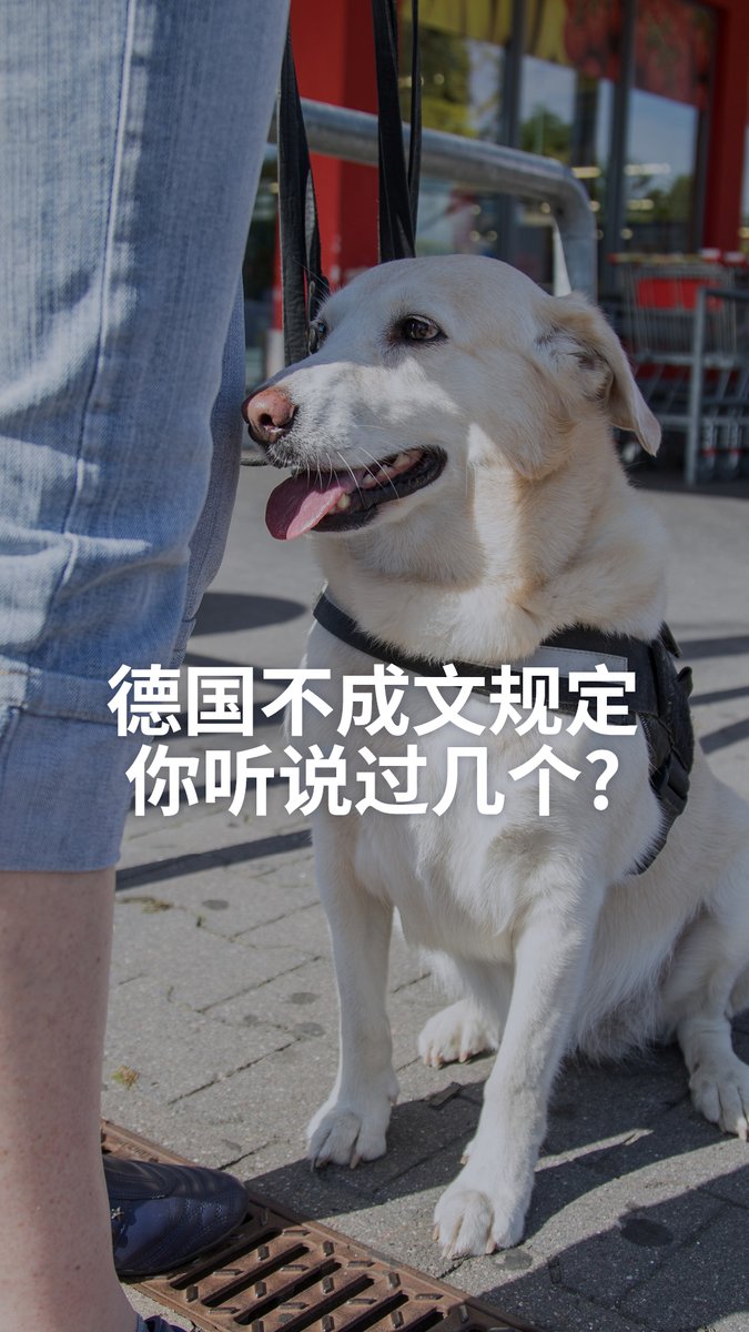【德国不成文规定 你听说过几个?】 跟邻居有矛盾,如何避免正面冲突?进电梯该不该打招呼?在德国高速公路开车的最高原则是什么?一起来看看德国的不成文规定。 #dwberlinfresh