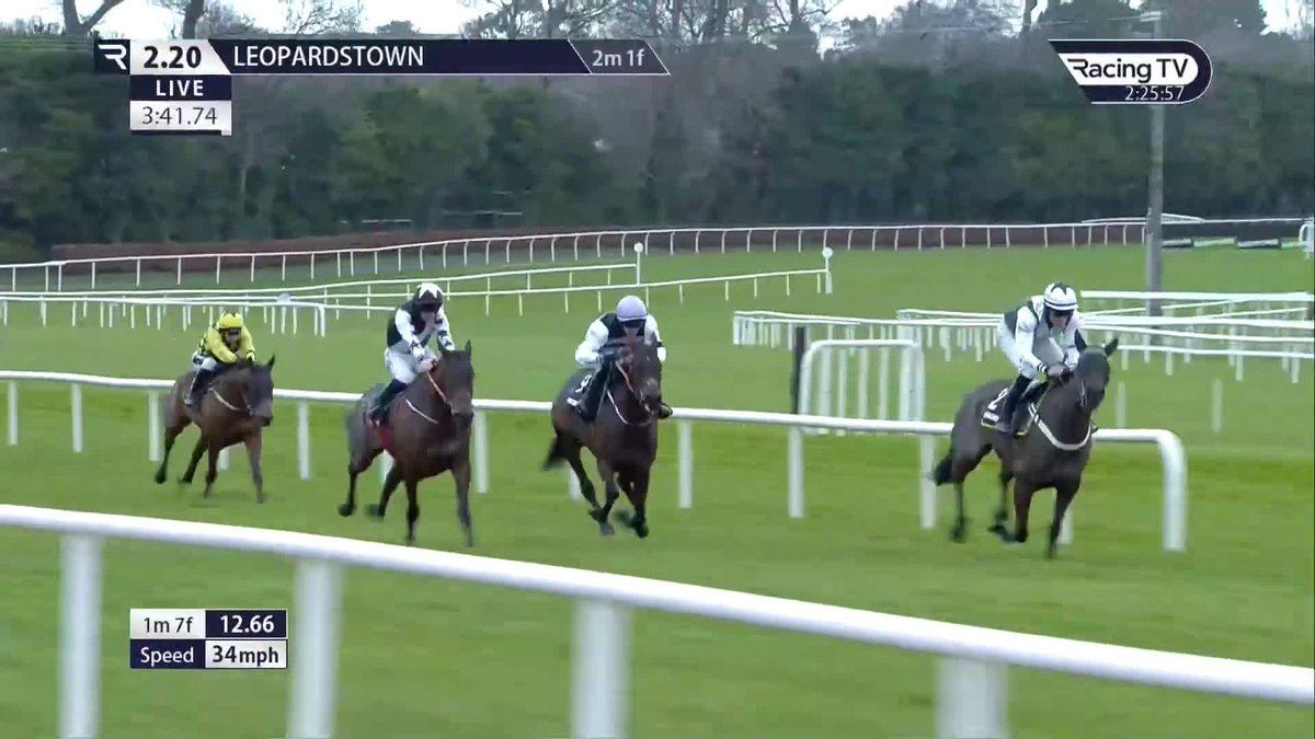 ⚫️⚪️ Confirmed by Racing Post: ROMEO COOLIO will run in the 2026 Brown Advisory Novices Chase at next week's Cheltenham Festival.