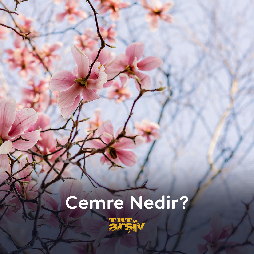 Bahar yaklaşırken “cemre düştü” dendiğini duyarız. Peki, nedir bu cemre ve nereye düşer? 💧