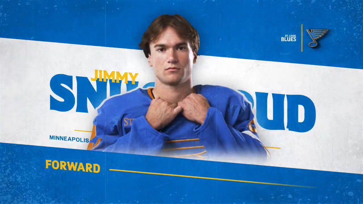 JIMMY SNUGGERUD MAKES IT 3-0! #stlblues