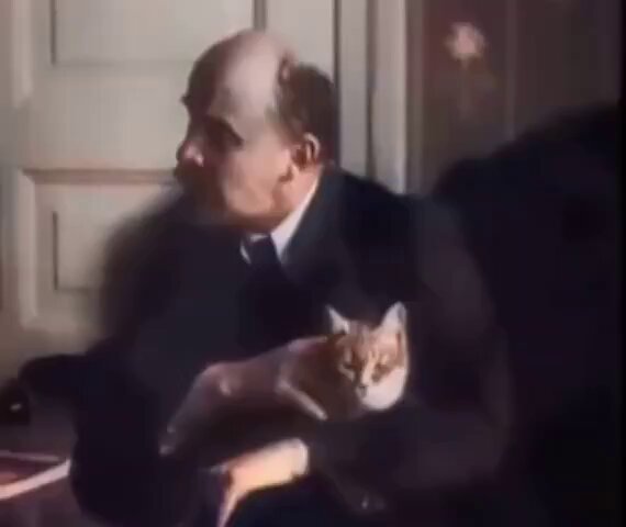 Socialism and cats.