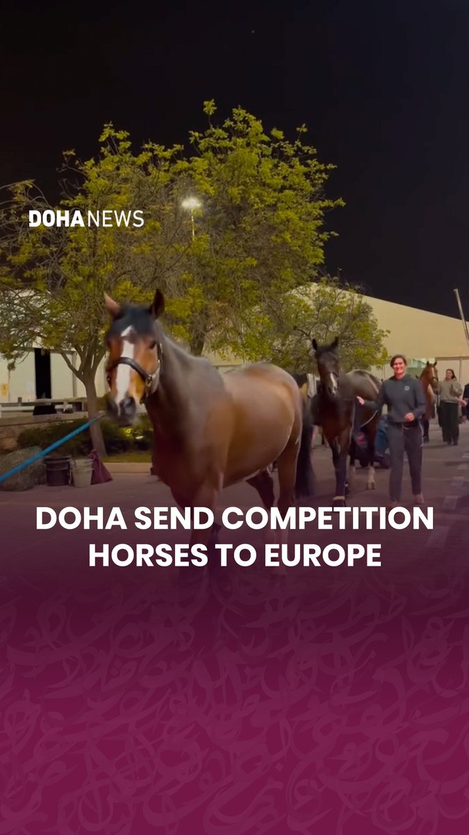 The Doha Equestrian Tour has shared a video on Instagram noting a coordinated 24/7 logistics effort that has enabled the safe departure of competition horses and their grooms to Europe, marking the start of the next phase of the international season. This comes following the cancellation of the Longines Global Champions Tour of #Doha due to the regional situation.