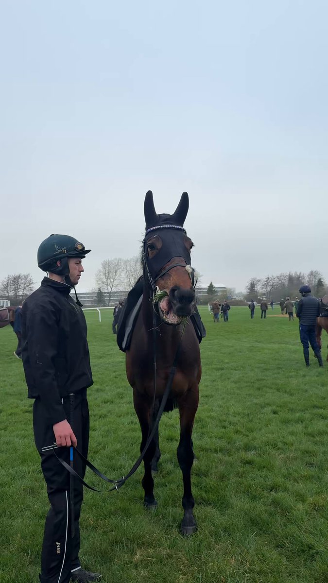Kopek Des Bordes 😍 Last year’s Supreme winner is bidding for another Cheltenham Festival win in the Arkle!