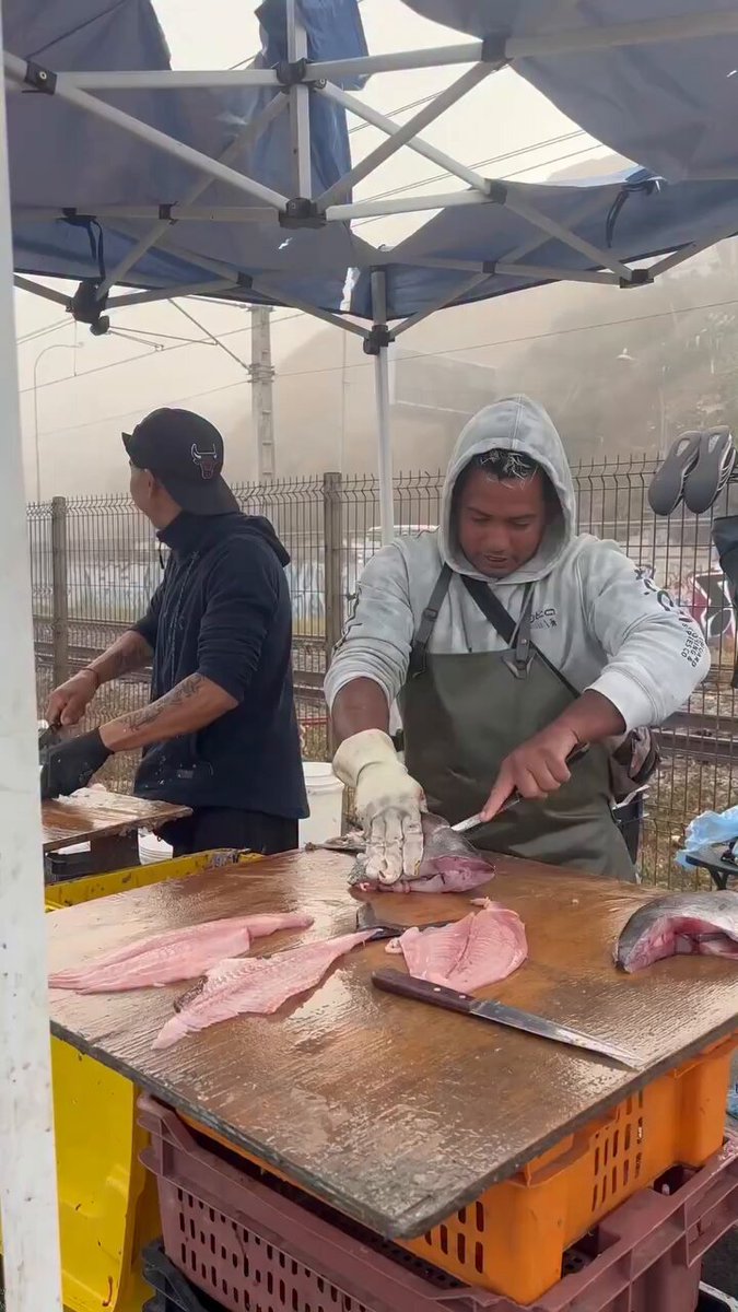 This sea lion comes to the market every day to beg for fish. It's very well-behaved and polite.