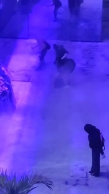 DÍA DE LA MUJER en México. Feministas incendian a MUJERES policías. Varias terminaron hospitalizadas. El feminismo ODIA a las mujeres cuando no son de izquierdas. El feminismo AMA a los violadores cuando son de izquierdas. El feminismo no es pro-mujer: es pro-izquierda.