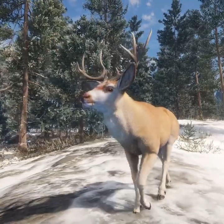 out on a stroll