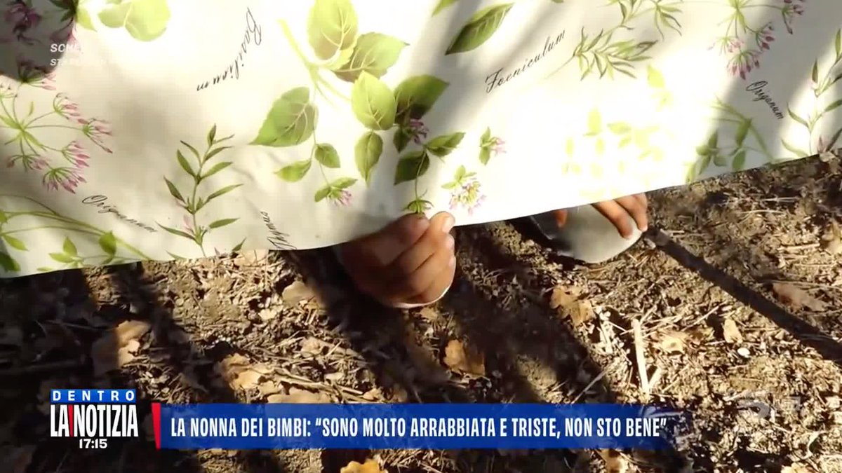 Famiglia nel bosco, Nonna Pauline: "Sono molto arrabbiata, mia figlia e i bambini sono devastati". #DentrolaNotizia