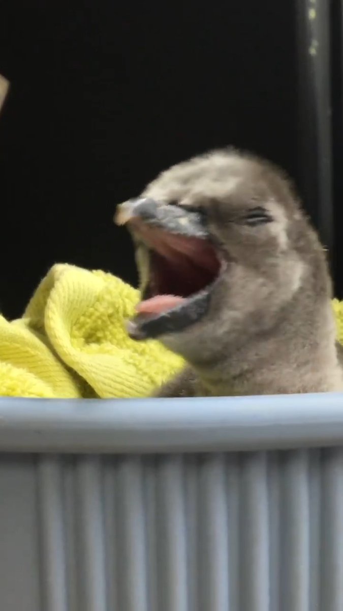 hitting snooze this morning