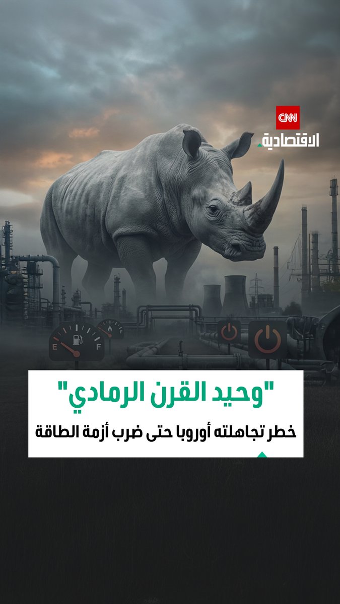 أزمة الطاقة لم تكن مفاجأة، بل "وحيد قرن رمادي" تجاهلته أوروبا حتى دهس أمنها، الخطر الواضح أشد فتكاً من المفاجئ!