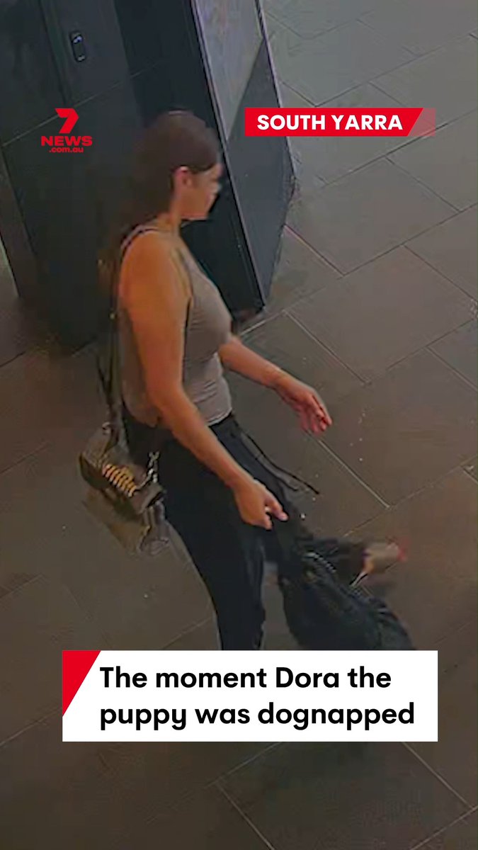 Three women are wanted over an unthinkable act accused of stealing a little girl's 10-month-old puppy tied up outside a shop on Chapel Street. #dora #chapelstreet #southyarrra #melbourne