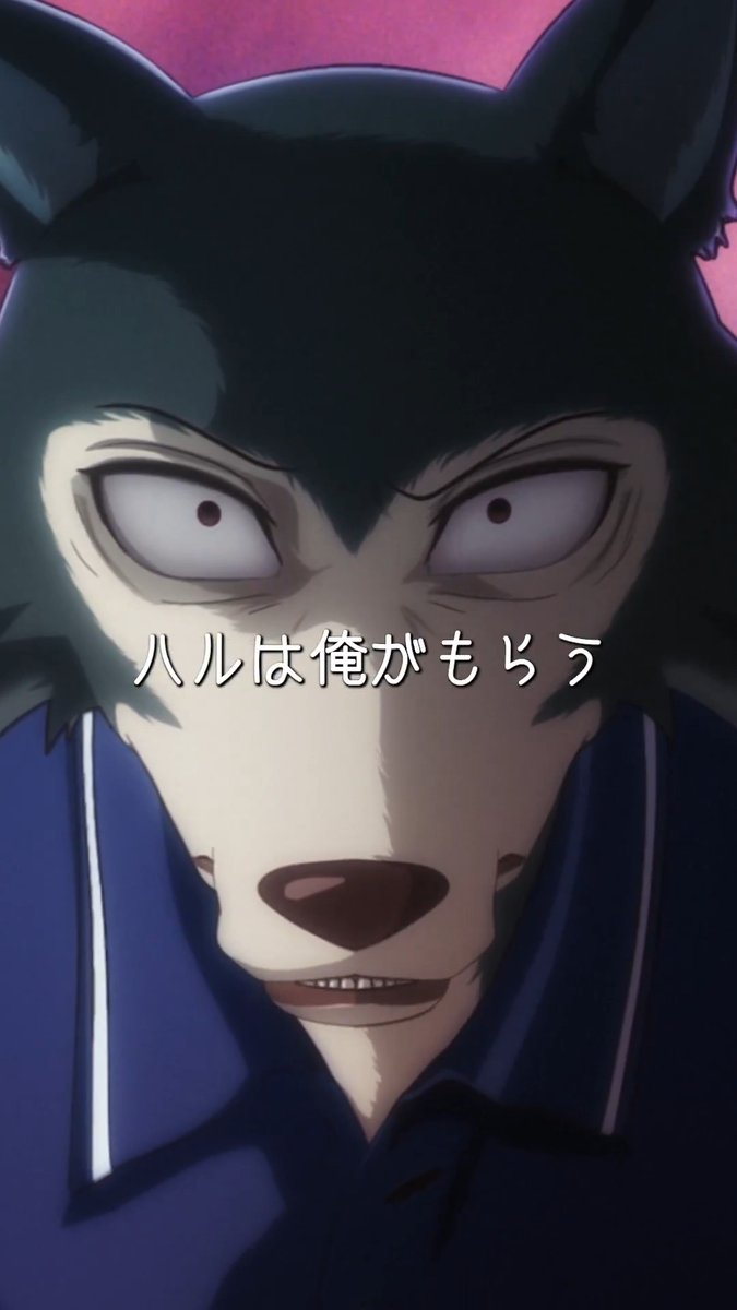 ◤◢◤◢◤◢◤◢◤◢◤◢◤◢◤◢◤◢ 『#BEASTARS FINAL SEASON』Part2 Netflix独占配信中🐺🐰✨ ◤◢◤◢◤◢◤◢◤◢◤◢◤◢◤◢◤◢ #レゴシ CV.#小林親弘 にフォーカスして過去話をプレイバック!!🎥 アニメ『BEASTARS』シリーズ ついに完結！！✨ ぜひご視聴ください！👀 #bstanime