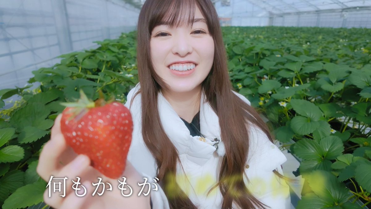 ◤#乃木坂逃避行 SEASON4✈️◢⁴⁶ 次回は3/13(金) 配信💫 小川彩 × 川端晃菜ペアの福井・完結編！ 各期最年少の等身大のふたり旅✨ 同じ境遇の2人だからこそ分かり合えたものとは──。 配信まであと3日！ 🎫｜