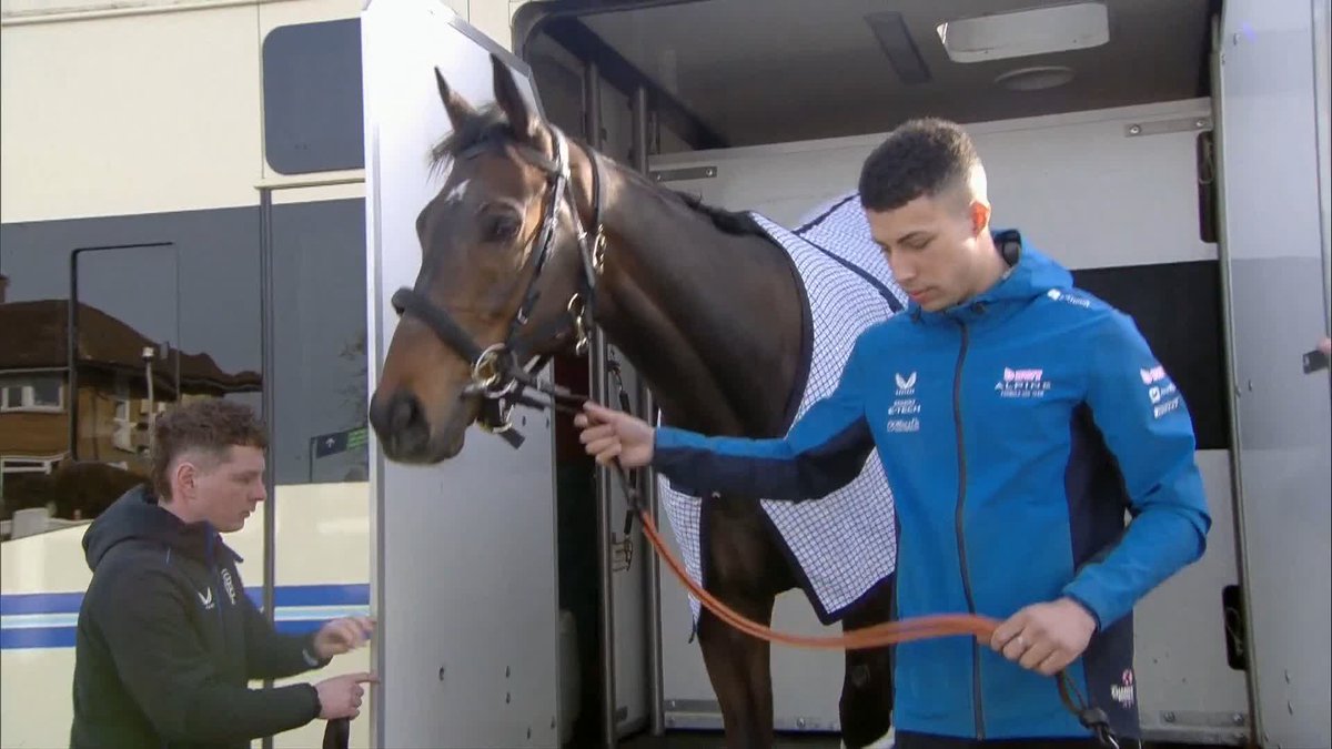 Constitution Hill does make an appearance at #CheltenhamFestival after all 😅
