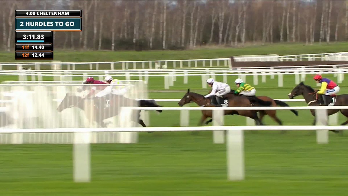 LOSSIEMOUTH wins the Champion Hurdle in fantastic style for Willie Mullins. Her record at Cheltenham is unbelievable! 👑