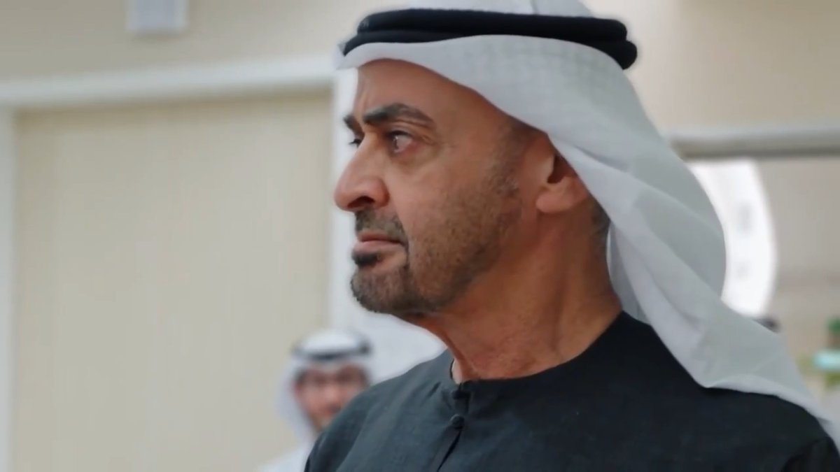 رئيس الإمارات محمد بن زايد يهدد إيران: الإمارات جلدها غليظ ولحمتها مرة!