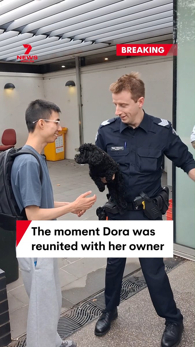 Dora a 10-month-old puppy stolen from outside a Melbourne shopping strip has been reunited with her family. A 19-year-old woman has been arrested, and two other women are still at large. #breakingnews #dog #thief #arrest #noblepark