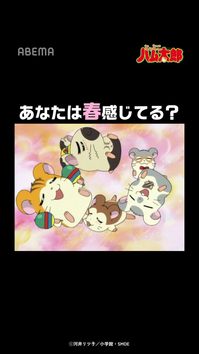 春が待ちきれないハムちゃんず🌸あなたは春感じてる? 「とっとこハム太郎」はアベマで配信中! 視聴はこちら▶︎ #とっとこハム太郎 「とっとこハム太郎」公式サイト運営