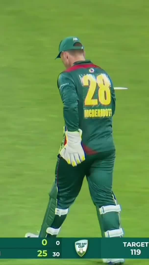 Not sure what was better - the wicket from Nathan Ellis or the next ball 🔥 #OneDayCup