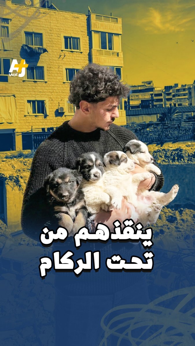 يوثق ناشط لبناني إنقاذ حيوانات عالقة تحت ركام المنازل المدمرة جراء الغارات الإسرائيلية، موفراً لها الغذاء والعلاج.. ما رأيكم في مبادرته؟