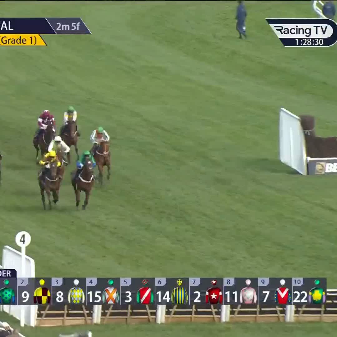 🟡🟤 King Rasko Grey captures the Turners for Mullins &amp; Townend