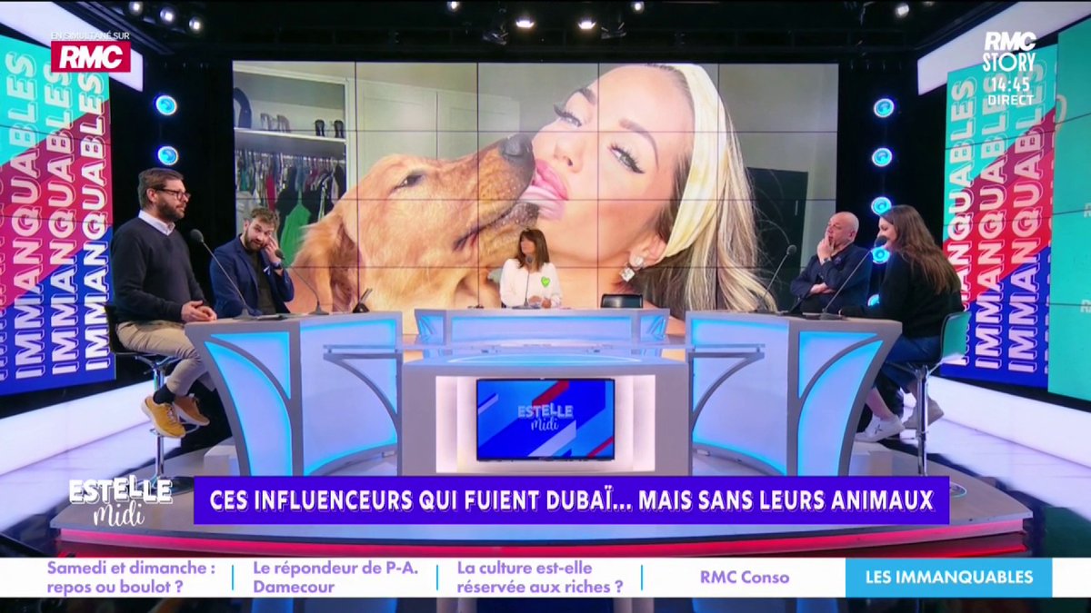 🐶 Ces influenceurs qui fuient Dubaï sans leurs animaux 🎙️ Lavrilleux Jerome :"Ils partent là-bas pour ne pas payer d'impôts, il y a des bombes qui passent ils chouinent , ils ont un chien qui leur sert à faire des likes mais ils se barrent en le laissant... C'est une honte absolue"