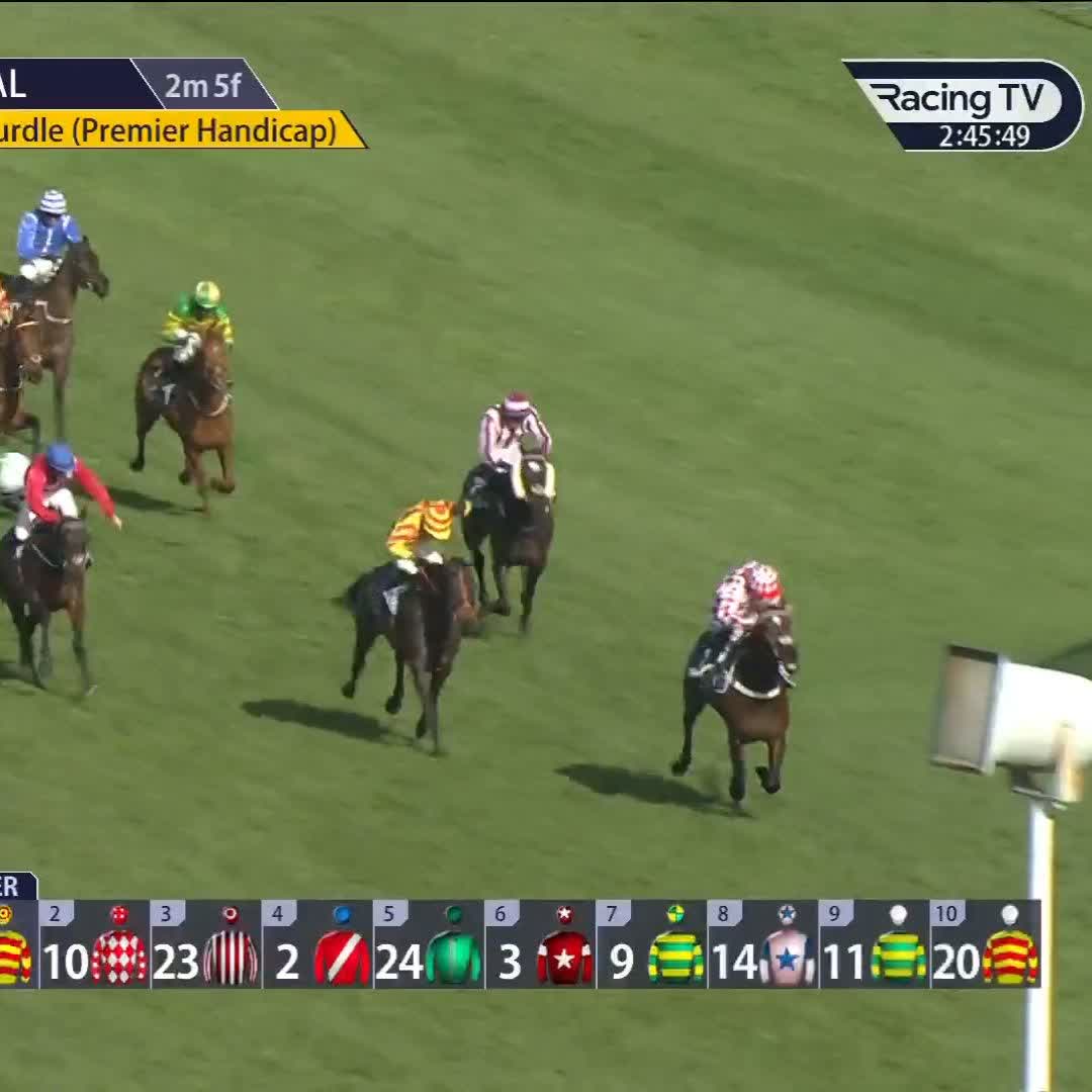 Easy! Jingko Blue readily lands the BetMGM UK Cup 🏆