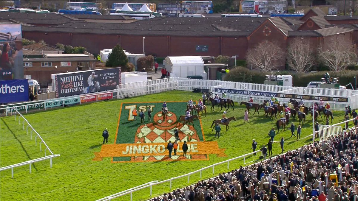 JAMES BOWEN IS ON FIRE!! 🔥 🔴⚪️ JINGKO BLUE wins the the handicap hurdle under a great James Bowen ride to give Nicky Henderson another winner at Cheltenham Festival! 👑 #CheltenhamFestival