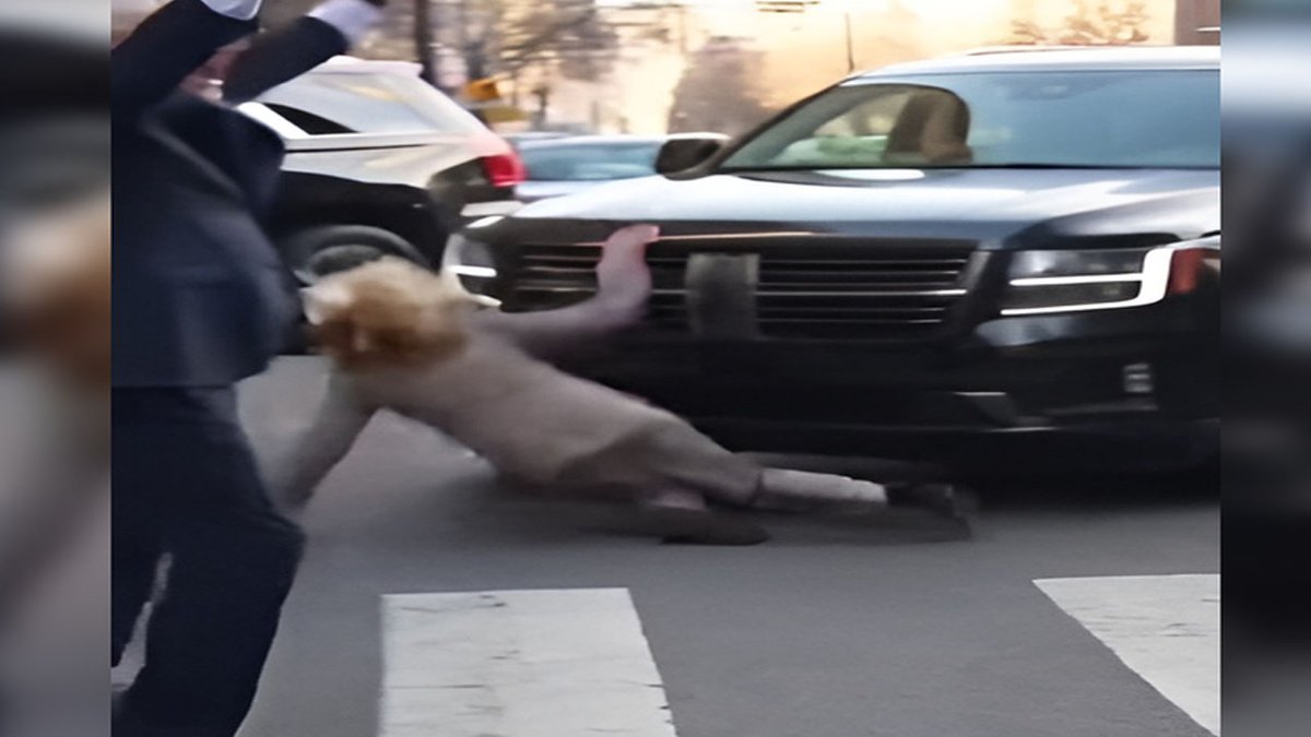Bill Clinton finally had enough... straight-up shoving Hillary into NYC traffic! 🚗💥😂 Is this the ultimate 'for better or worse' test? Or just Slick Willie cleaning house? 😈🤣😂🛣️