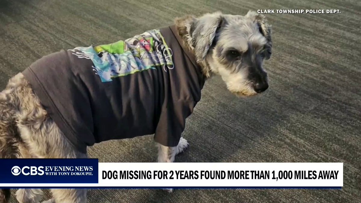 Two years after a Dallas family's dog disappeared, she was found 1,300 miles away in New Jersey. @TonyDokoupil has the story of how made her way back home.