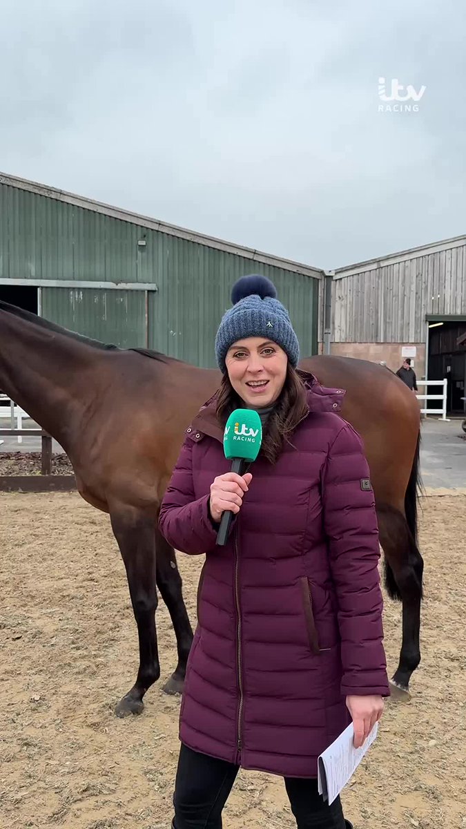Sally Ann takes us to the Tattersalls Cheltenham Festival sale to show what potential buyers look for in a future champion 🏇🏆 Sally Ann Grassick