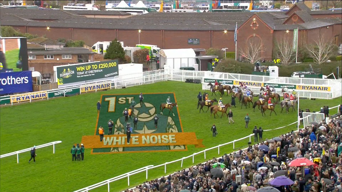 White Noise wins the Ryanair Mares' Novices' Hurdle 🏆 A 40-1 winner for Tom Bellamy & Kim Bailey & Mat Nicholls Racing 👏