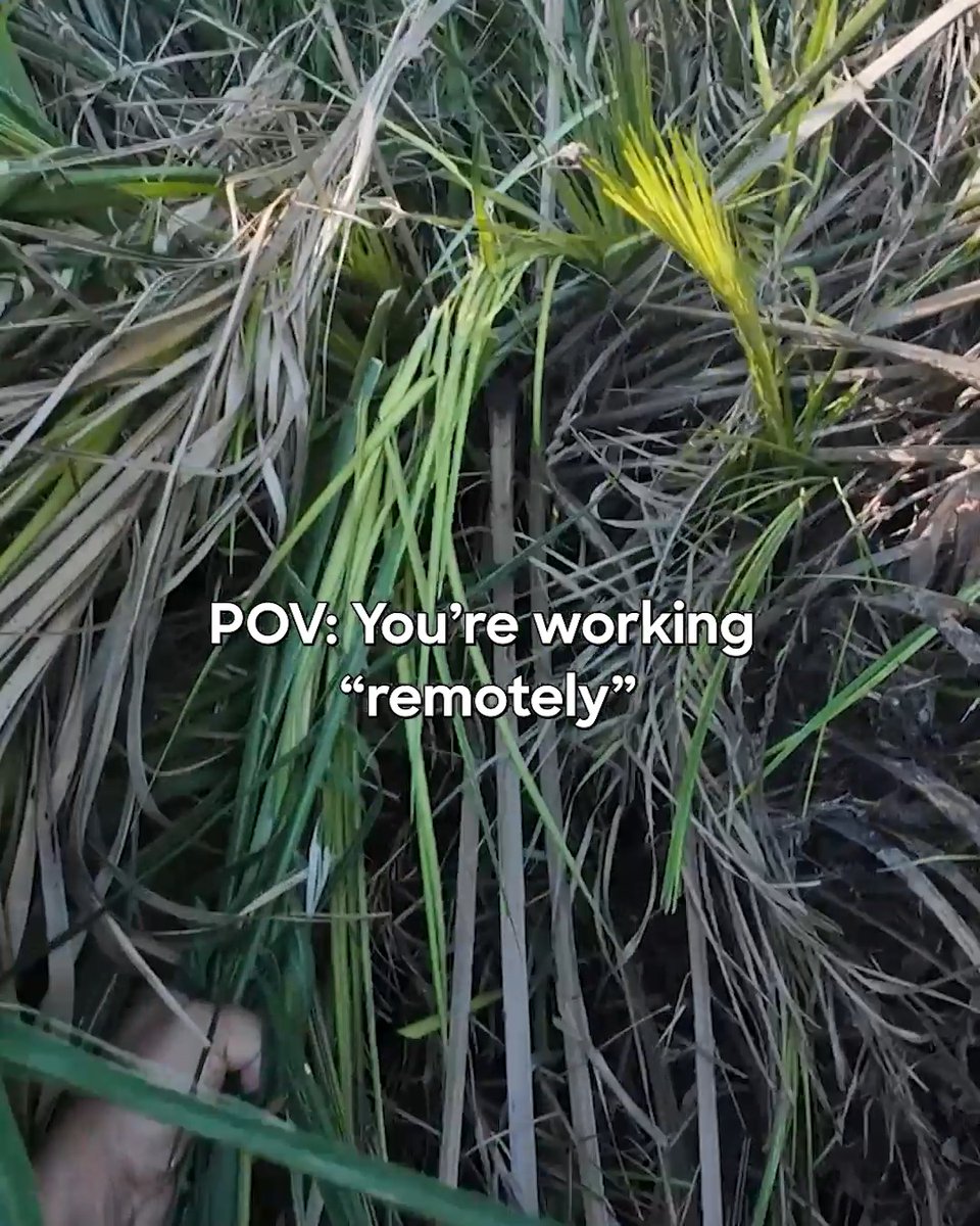 This remote work hits different 😏 New #NakedandAfraid Sunday at 8P on Discovery.