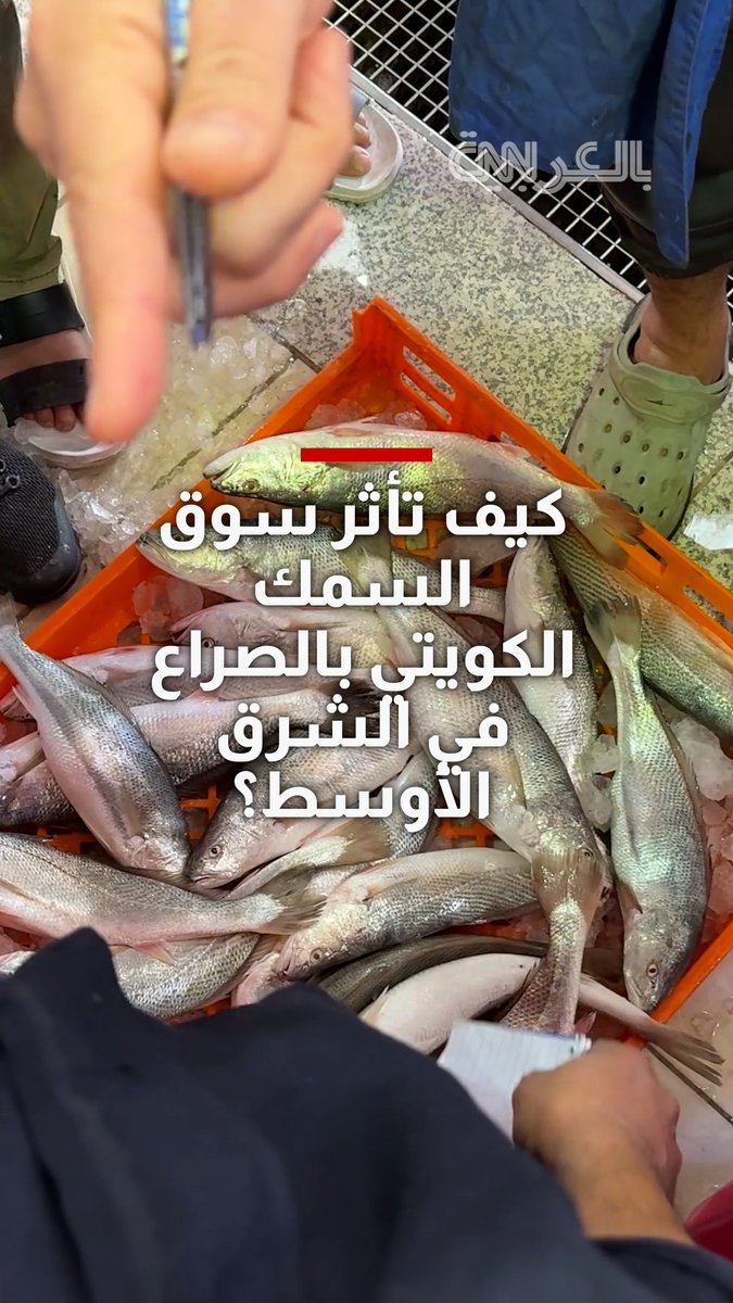 شاهد كيف تأثر سوق السمك الكويتي بالصراع في الشرق الأوسط