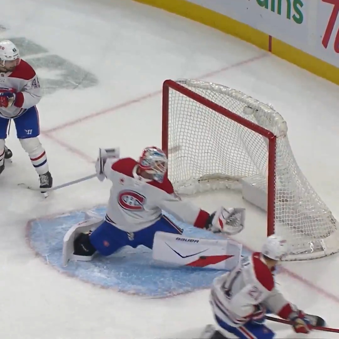 L'alligator s'est régalé 🐊 Gators gotta eat #GoHabsGo