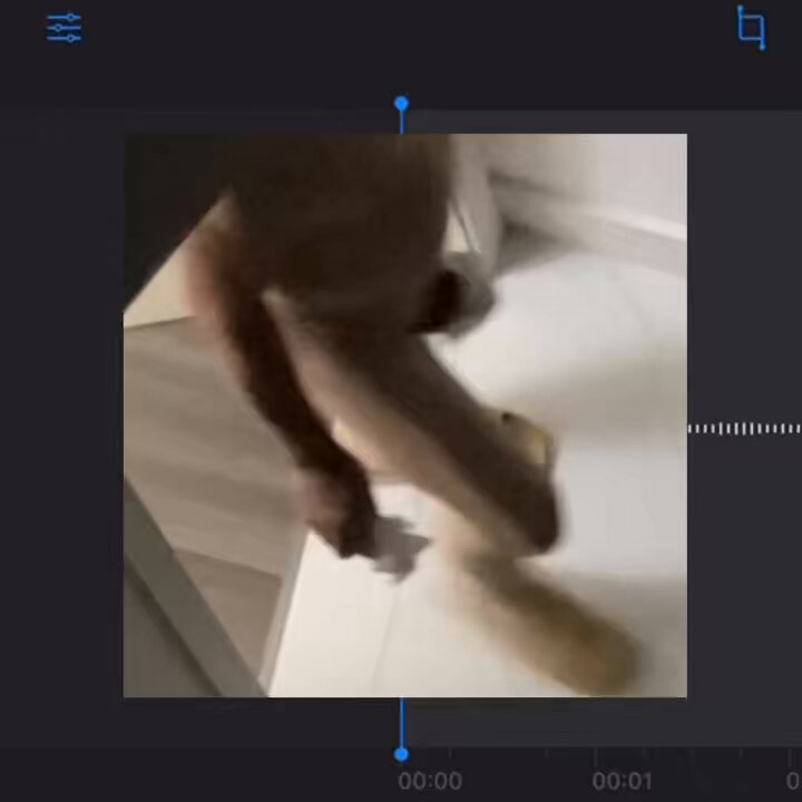 公狗发情这一块我爹必须是第一 房门一关就开始交配 春天也确实到时间了 整整配种24分钟左右 下体狠狠锁结在一起 狗鞭一拔纸巾一抽再一包 带着纸包鸡手里拿着子孙后代 生殖器一甩一甩就出来清洗了 交配狠狠砸（来点点评吧）