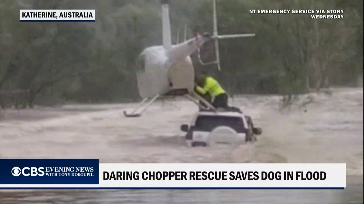 A dog trapped inside a car during historic flooding in Australia was rescued by helicopter.