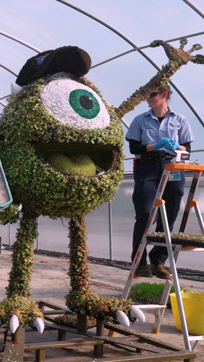 Cold temps. Delicate blooms. One massive transformation. 🌸❄️ Go behind the scenes and meet the team that brings EPCOT Flower &amp; Garden Festival to life in the newest episode of Disney Unscripted. 🎬