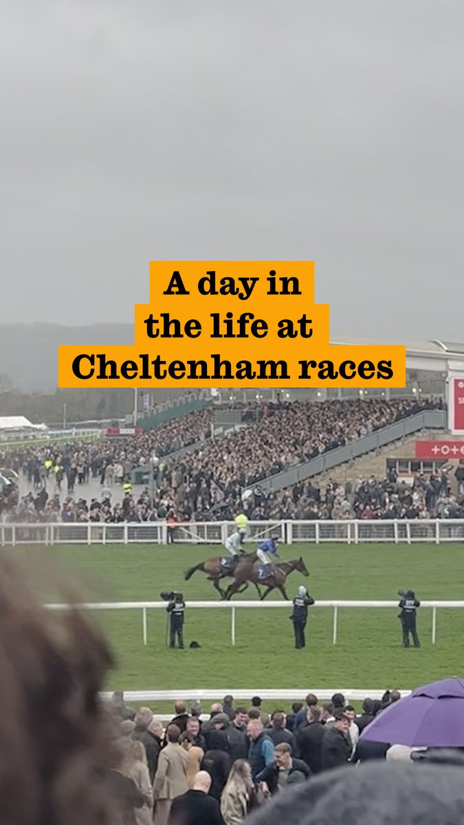 Cheltenham festival is a reflection of Britain as a fractured isle. A day out to the Gloucestershire racetrack is like an episode of The Only Way is Essex, populated by people who believe they would star in an episode of Peaky Blinders. Read more as Jessy Parker Humphreys spent the day at the races: