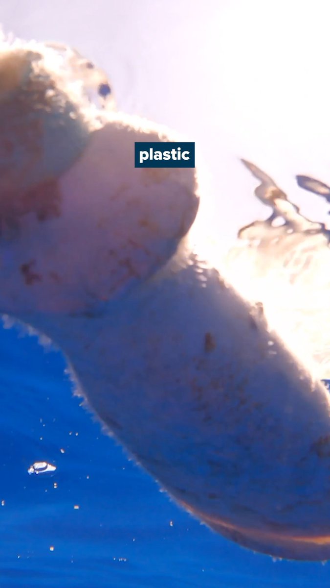 This year, we are scaling up our river operations. In the meantime... 💠 We are working on developing (drone and AI) technologies for plastic hotspot hunting in the Great Pacific Garbage Patch 💠 We continue to research the problem of discarded fishing gear to identify the right solution 💠 Once Interceptors are operational, we clean up legacy pollution on coastlines to return the environment to its original, pristine state and make sure stranded pollution doesn't return to the ocean