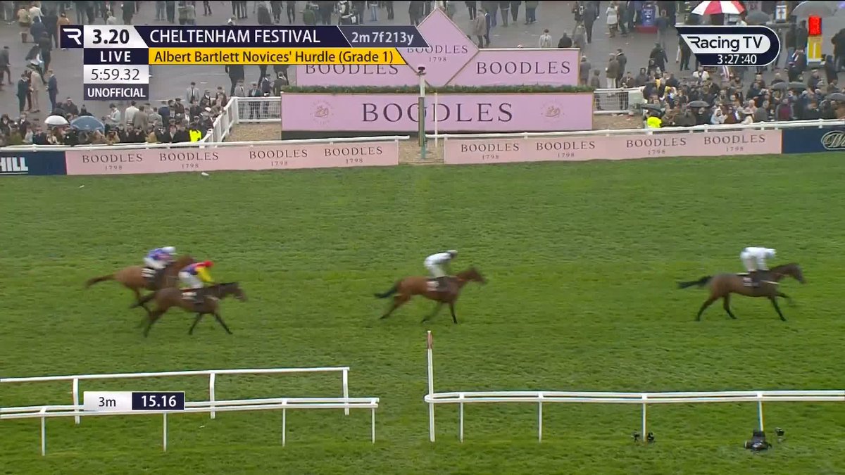 Johnny's Jury swoops in the Albert Bartlett!!