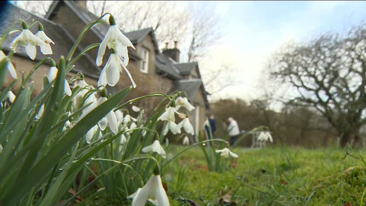 Sophie's snowdrop blooms as Dunblane marks 30 years since tragedy.