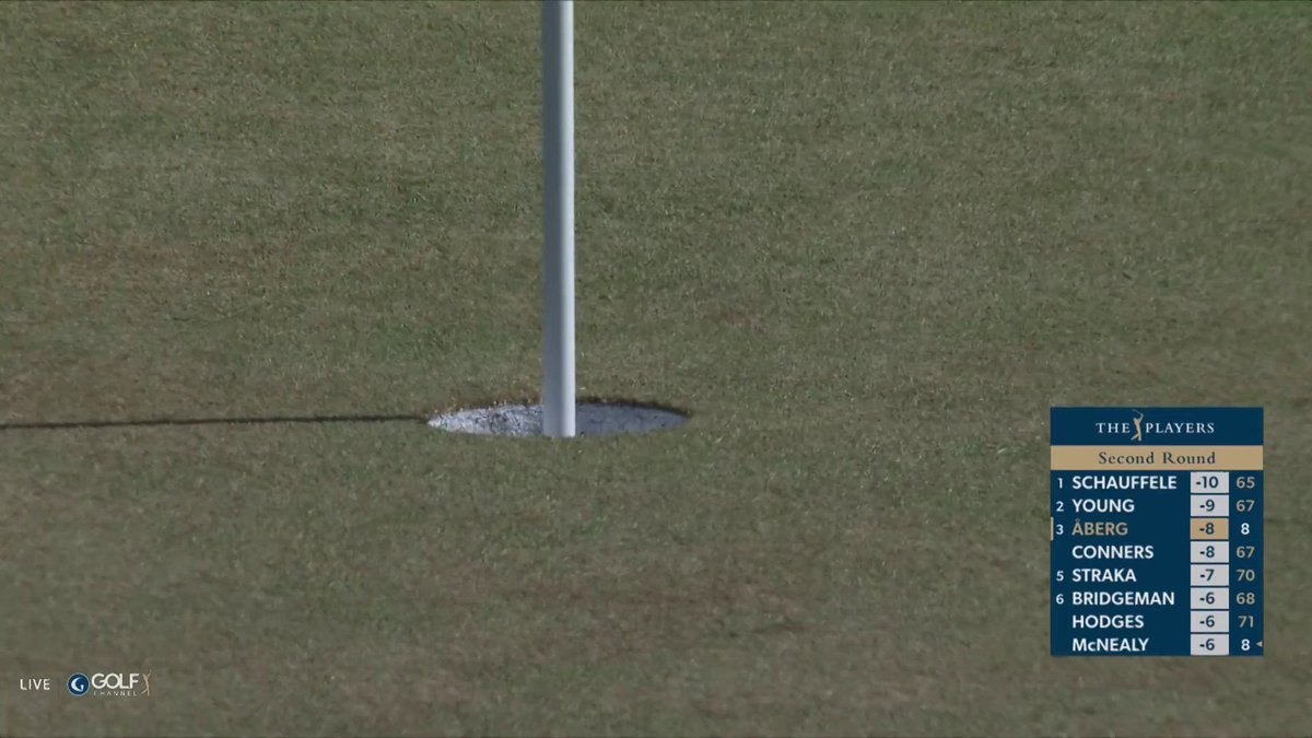 LUDVIG CHIP-IN EAGLE FROM THE MINI BUNKER TO TIE THE LEAD 29 ON THE FRONT