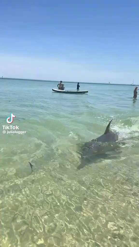 We don’t deserve the nature we have