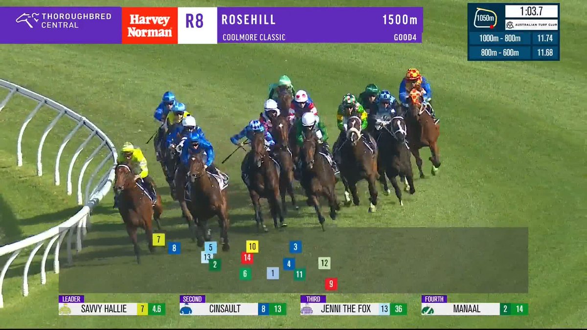 128 Group 1's to James McDonald, as Lazzura reigns supreme in the G1 Coolmore Classic, and Chris Waller Racing wins his 4th Coolmore in a row! 🤩 B2B Thoroughbreds