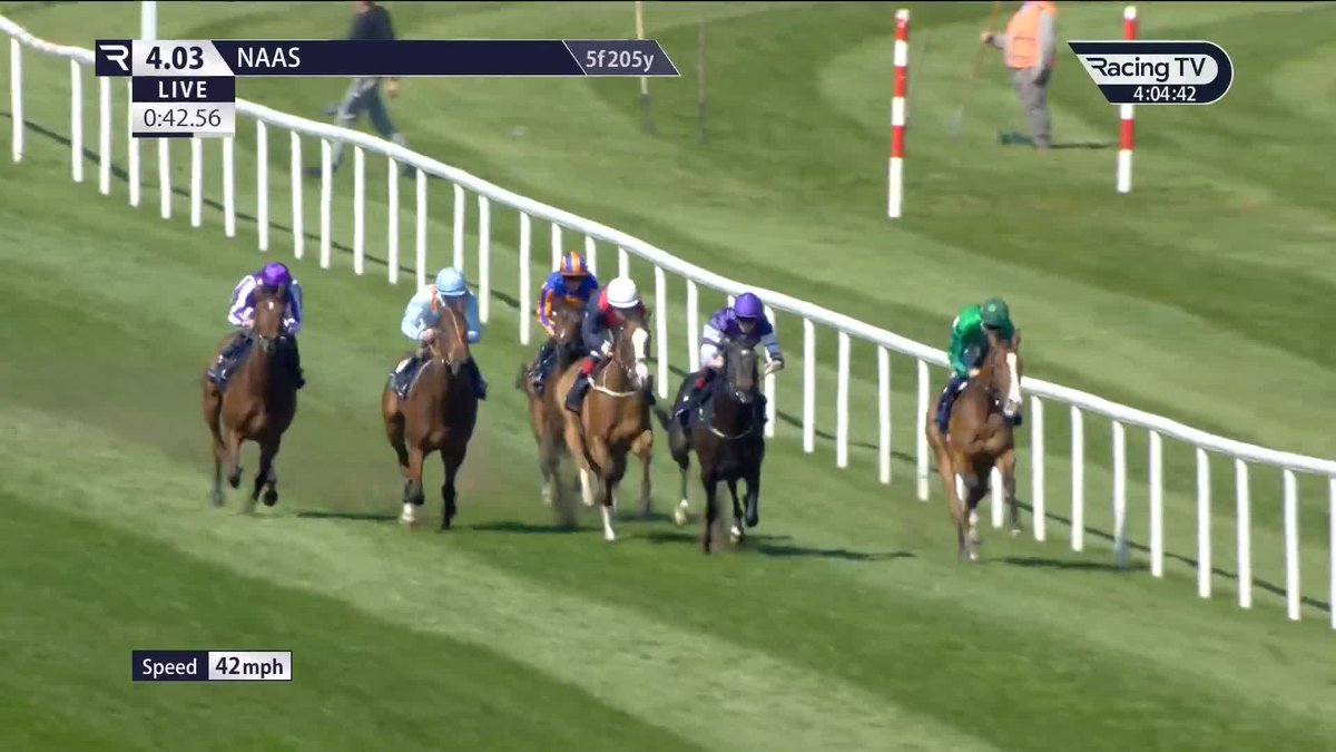 SIGNORA (Frankel x Heartache) seen here finishing 3rd on debut in Gr3 company. She then ran okay at Royal Ascot in the Albany. SIGNORA will make her return tomorrow down at the Curragh. RYAN MOORE will ride for Aidan O'Brien and Coolmore.