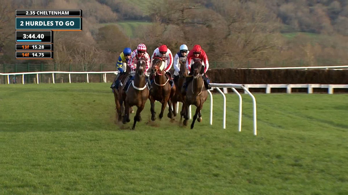 ✅️ KABRAL DU MATHAN will be an exciting prospect over fences next season - could he develop into an Arkle contender or one for the Manifesto Novices Chase?