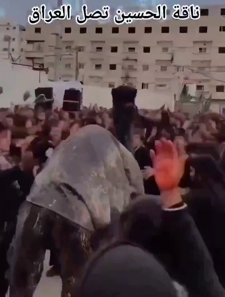 Shiites after arriving Jerusalem and realising Al-Aqsa mosque has no religious significance in their traditions