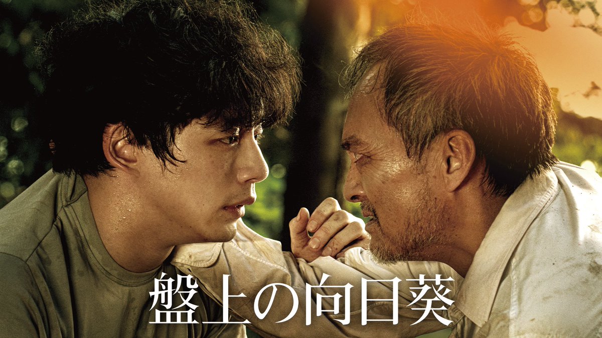 映画『盤上の向日葵』 U-NEXTで独占配信中💁‍♀️ 謎の白骨死体── 事件解明の手掛かりは この世に7組しか現存しない将棋駒 容疑者は突如将棋界に現れた 若き天才棋士 「孤狼の血」柚月裕子の原作を 実写化したヒューマン・ミステリー🌻 《出演》 坂口健太郎／渡辺謙