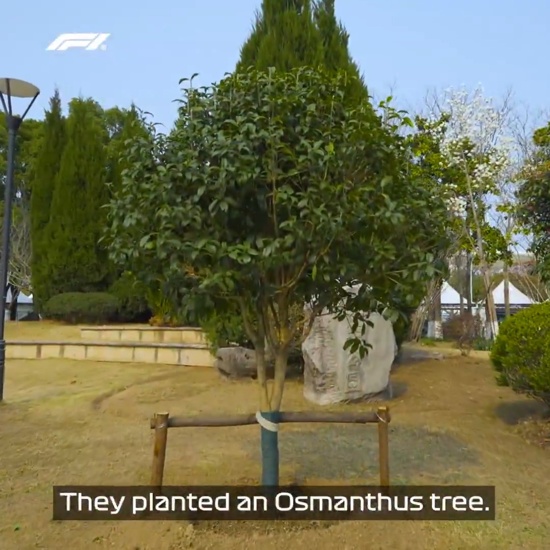 Building healthier and greener communities in Shanghai! 💪 To mark Arbor Day, the promoter of the Chinese Grand Prix hosted a special tree-planting in the Championship garden in the Jiading District 🌳 #F1 #ChineseGP